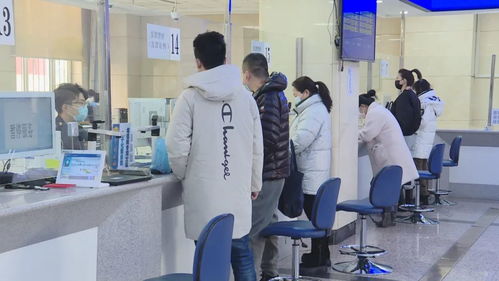 黑龍江 稅務服務推 三化 營商環境有變化